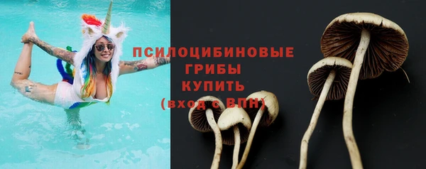 бошки Белокуриха